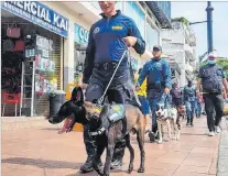  ?? CORTESÍA ?? Tarea. Junto a metropolit­anos, los canes refuerzan la seguridad de la urbe.