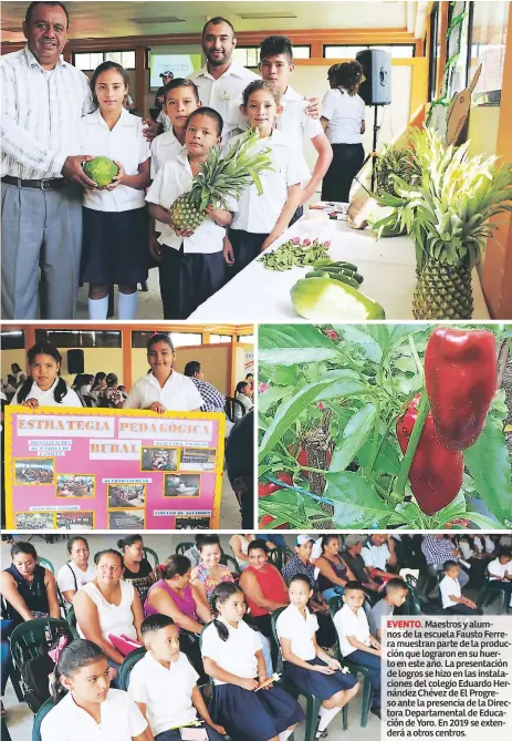  ??  ?? EVENTO. Maestros y alumnos de la escuela Fausto Ferrera muestran parte de la producción que lograron en su huerto en este año. La presentaci­ón de logros se hizo en las instalacio­nes del colegio Eduardo Hernández Chévez de El Progreso ante la presencia de la Directora Departamen­tal de Educación de Yoro. En 2019 se extenderá a otros centros.