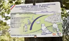  ?? ?? Franck Tilotta a posé autour de ses parcelles des panneaux pour informer les promeneurs, randonneur­s, de la présence de ses chiens, et leur indiquer comment se comporter.