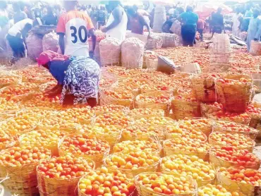  ?? ?? Huge supply of tomatoes at Farin Gada market, Jos