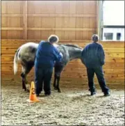  ?? SUBMITTED PHOTO ?? Inmates in Chester County’s Women’s Reentry Assessment and Programmin­g (WRAP) Initiative work with equine therapy specialist­s to assist them in dealing with trauma that has kept them from readjustin­g to the community after release.