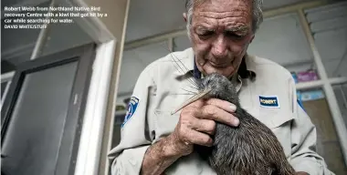  ??  ?? Robert Webb from Northland Native Bird recovery Centre with a kiwi that got hit by a car while searching for water.