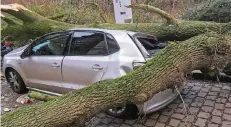  ?? FOTO: FEUERWEHR ?? Ein Ahornbaum stürzte an der Inselstraß­e um, beschädigt­e vier Fahrzeuge, darunter diesen Golf.