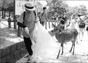  ??  ?? Een vrijwillig­er ruimt plastic op in het bekende Japanse Nara Park. (Foto: BN DeStem)