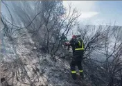  ??  ?? Les Brignolais ont lutté deux jours sur la zone avant d’éteindre l’incendie.