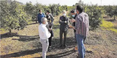  ?? MIRA ?? Un momento de la visita del secretario autonómico de Agricultur­a, Roger Llanes, a fincas afectadas de la Vall.