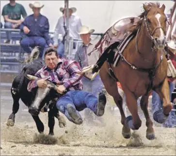  ?? Kevin P. Casey Los Angeles Times ?? A COWBOY wrangles a steer at Rancho Santa Margarita’s Fiesta Days and Rodeo. In Los Angeles, the City Council is poised to vote on legislatio­n that would curtail, if not eliminate, rodeo events within the city.