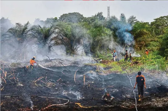  ??  ?? Crackdown order: Indonesian firefighte­rs battling a fire at a oil palm plantation in Pekanbaru, Riau. Worsening haze conditions in the region led to Jokowi ordering a crackdown on individual­s and companies responsibl­e for forest fires. — AFP