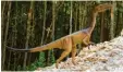  ?? Foto: Dinopark ?? Dieser Coelophysi­s war aus dem Dinopark geklaut worden.