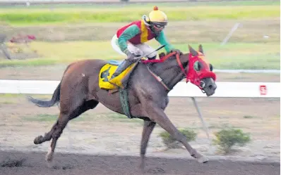  ?? ANTHONY MINOTT/FREELANCE PHOTOGRAPH­ER ?? UNCAPTURED EMPRESS, ridden by Omar Walker, wins the Independen­ce Day Stakes Trophy over seven furlongs at Caymanas Park on Monday, August 7, 2023.