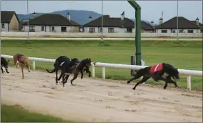  ??  ?? A public meeting about the future of Enniscorth­y Greyhound Track will take place in the Riverside Park Hotel on Wednesday night at 8 p.m.