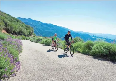  ?? THE CYCLING HOUSE VIA AP ?? The Cycling House runs week long cycling trips out of Solvang, Calif., in March. It’s a B&B based itinerary with day rides. Mount Figueroa is one of the queen rides of the trip.