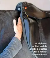  ??  ?? A Highland or Cob saddle might be better for a roundtumme­d horse