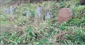  ?? ?? Craig Kelly’s parents’ gravestone, on the right of the picture, and several others, were covered with cuttings.