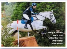  ??  ?? Mally’s ridden work was halted by two very deep abscesses CASE STUDY