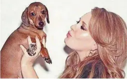  ?? TOMADA DE INTERNET ?? kLa cantante británica Adele junto a su perro salchicha llamado Louie.