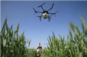  ?? ?? Yadav, certified remote pilot trained under the government-backed ‘Drone Sister’ programme, operating a drone to spray liquid fertiliser over a farm in Pataudi.