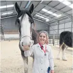  ??  ?? Top: Champion at Forfar Foal Show was Lutteringt­on Butterfly, right, while Collessie Connoisseu­r, left, was the reserve foal champion. Above: Best young handler was Sara Donald from Fowlis.