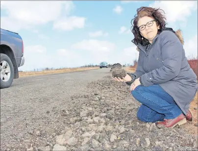  ?? MILLICENT MCKAY/JOURNAL PIONEER ?? Janice Fenner holds chunks of broken asphalt on Clark Road. The North Bedeque road is nominated in the CAA Worst Roads competitio­n.