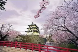  ??  ?? A popular travel time to Japan is during the sakura season.