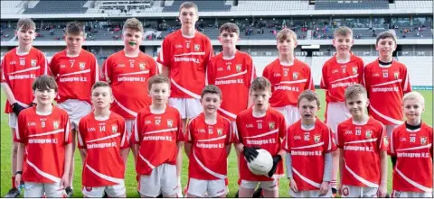  ?? ?? Pupils from Derrinagre­e NS who played Ballyhass NS at half time in the Cork versus Kildare NFL game at Páirc Uí Chaoimh on Sunday