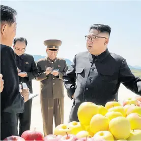 ?? AP ?? Manzanas. El líder norcoreano Kim, en septiembre, en una granja.