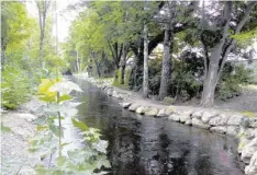  ?? Foto: Peter K. Köhler ?? Das mit Flussbaust­einen naturnah gestaltete Mühlbachuf­er bietet in den Ausbuchtun­gen auch Platz für viele Tierarten.