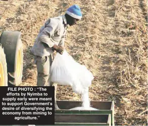  ??  ?? FILE PHOTO : ‘‘The efforts by Nyimba to supply early were meant to support Government’s desire of diversifyi­ng the economy from mining to agricultur­e.’’