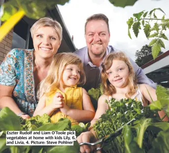  ?? ?? Eszter Rudolf and Liam O’Toole pick vegetables at home with kids Lily, 6, and Livia, 4. Picture: Steve Pohlner