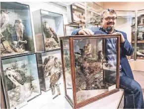  ?? FOTO: ENDERMANN ?? Gunnar Gad, seit 2019 Leiter des Naturkunde­museums, ist vor allem mit der Erfassung der Sammlung beschäftig­t.