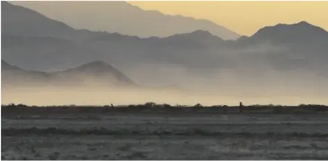  ?? IVP FILE PHOTO ?? Dust blows across the sands of the unearthed beds of the Salton Sea.