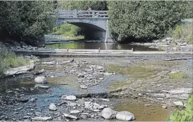  ?? CLIFFORD SKARSTEDT EXAMINER ?? Lower water levels on the Jackson Creek are seen Aug. 15. Otonabee Conservati­on has now lifted its call on members of the community to reduce their water use by 10 per cent.