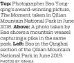  ?? PHOTOS BY XINHUA ?? Top: Photograph­er Bao Yongqing’s award-winning picture, The Moment, taken in Qilian Mountain National Park in June 2018. Above: A photo taken by Bao shows a mountain weasel capturing a pika in the same park. Left: Bao in the Qinghai section of the Qilian Mountain National Park in June 2019.