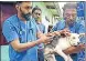  ?? PTI ?? A dog being vaccinated against rabies in Kochi.