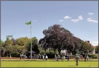  ??  ?? A Green Flag flying over Hollycroft Park at a recent Sunday Funday organised by the Friends of Hollycroft Park. Picture: Paul Hands