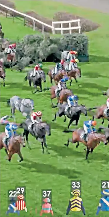  ??  ?? A demo posted on Youtube of what Saturday’s virtual Grand National race, televised ‘live’ on ITV this Saturday, will look like