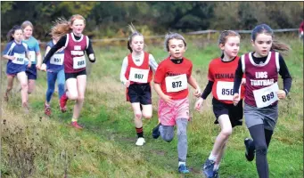  ?? Photos by David Kissane ?? Daisy O’Donnell (Lios Tuathail AC), Sadhbh O’Mahony (Kenmare AC) and Jessica Merrigan (Kenmare AC) leading in the girls U10 race at the Kerry Athletics juvenile B cross country championsh­ips in Killarney on Sunday.