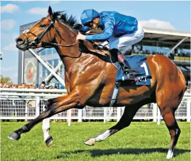  ??  ?? Flying high: Barney Roy was in scintillat­ing form on the gallops yesterday