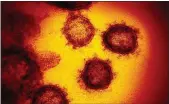  ?? FILE PHOTO ?? The COVID-19 virus has claimed its first life in Montgomery County.