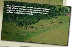  ?? ?? Perehtymin­en viljelysma­an johti siihen, että Amazonin muokkaamis­een pystyivät rakentamaa­n alueen asukkaat ja kestäviä maavalleja. viljelyksi­lleen vankkoja