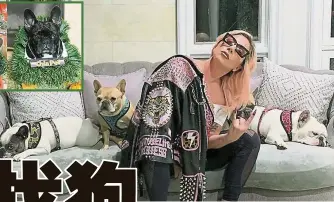  ??  ?? 女神卡卡养了3只法国­斗牛犬，把它们当心肝宝贝，经常在IG分享与爱犬­的照片。