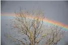  ?? Photo / Sylvie Whinray ?? A few more rainbows are likely in Auckland this week.