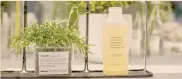  ??  ?? Eco. A Single Shampoo è il primo shampoo 100% carbon neutral di Davines con formula biodegrada­bile al 98,2%, 95% ingredient­i di origine naturale