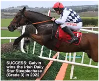  ?? ?? SUCCESS: Galvin wins the Irish Daily Star Steeplecha­se (Grade 3) in 2022
