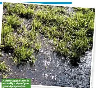  ??  ?? A waterlogge­d lawn is normally a sign of poor ground preparatio­n