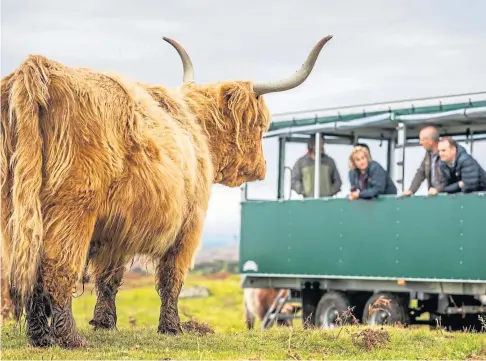  ?? ?? HOW NOW BROWN COW: It is estimated Scottish agritouris­m could be worth £250 million by 2030.