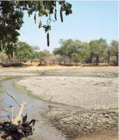  ?? TSVANGIRAY­I MUKWAZHI/AP ?? A sun-baked pool that used to be a perennial water supply in Mana Pools National Park, Zimbabwe.