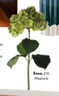  ??  ?? Stem, £19, Neptune