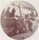  ?? Photograph: Presbyteri­an Historical Society/Wikimedia ?? Men load reindeer on to the USS Bear in the 1890s.