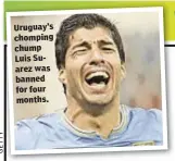  ??  ?? Uruguay’s chomping chump Luis Suarez was banned for four months.
